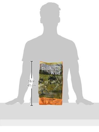 Taste of the Wild High Prairie Puppy sausas begrūdis šunų maistas su bizoniena ir elniena mažiems šuniukams, 2kg