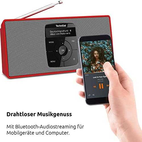 Radio TechniSat DIGITRADIO 2S