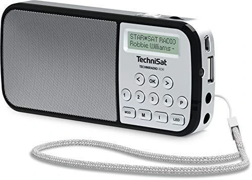 TechniSat Techniradio RDR DAB+ Radio sidabrinis | TechniSat