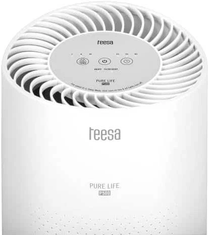 Oro valytuvas TEESA PURE LIFE P500