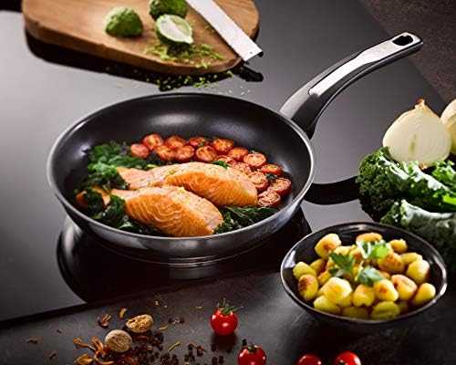 Keptuvė - Tefal Emotion 24 Cm Nerūdijančio Plieno