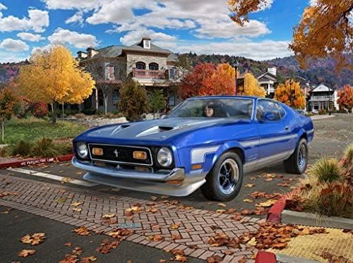 Revell – ‘71 Mustang Boss 351, 1/25, 07699