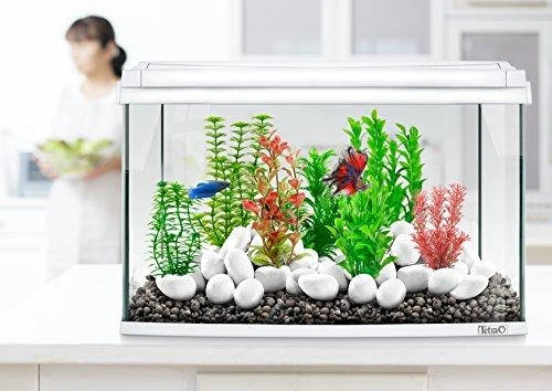 Tetra DecoArt PLANT Raudonas FOXTAIL L