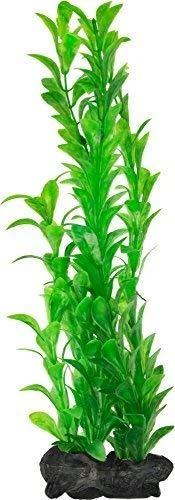 Tetra DecoArt Augalas Hygrophila L