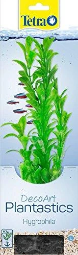Dirbtinis akvariumo augalas Hygrophila L dydžio pakuotė