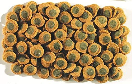 TETRA Pleco spirulinos vafliai žuvims
