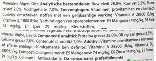TetraPond Pellets small 1L pašaras tvenkinio žuvims iki 20cm V