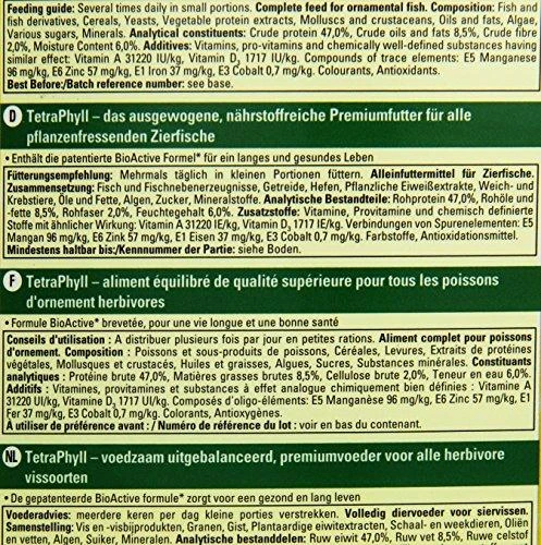 Tetra Phyll dribsniai 10 l