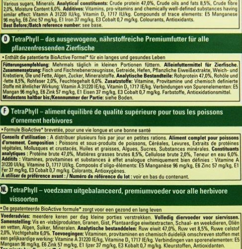 Tetra Phyll dribsniai 10 l