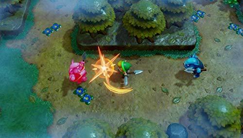 „Nintendo“ „Zelda legenda: Linko pabudimas“, „Nintendo Switch“