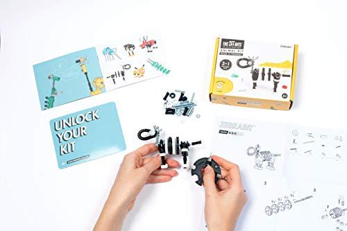 The Offbits Spalvingi zebro balionai Zebrabit