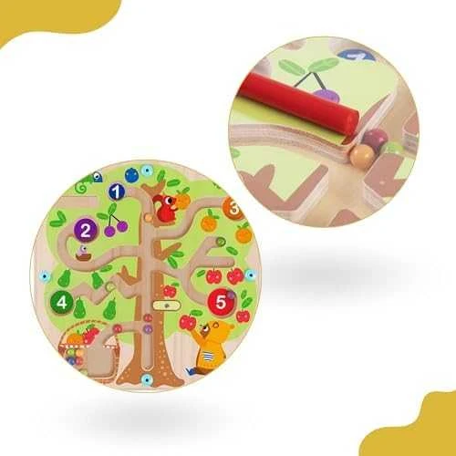 Tooky Toys „Taky Toy Labirynt Magnetic Fruber“ mokymo mokymas