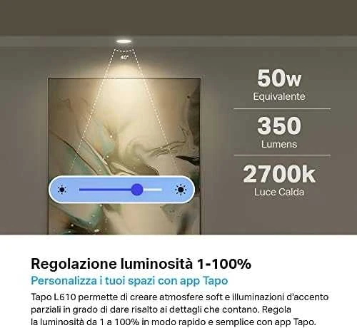 TP-LINK | Išmanusis „Wi-Fi“ prožektorius | Tapo L610