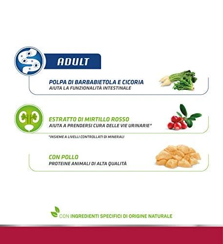 Natural Trainer CAT ADULT CHICKEN su vištiena 10kg