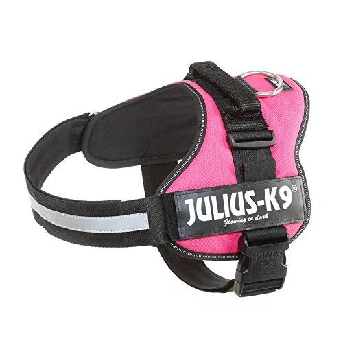 Trixie diržai Julius-K9, 2/L-XL: 71-96 cm, fuksijos spalvos