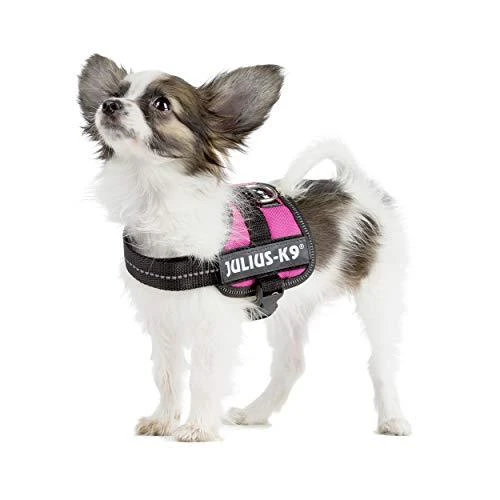 Trixie diržai Julius-K9, 2/L-XL: 71-96 cm, fuksijos spalvos