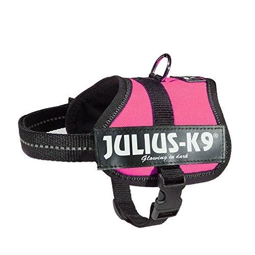 Trixie diržai Julius-K9, Baby 2/Xs-S: 33-45 cm, fuksija