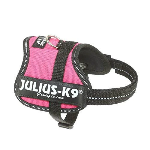 Trixie diržai Julius-K9, Baby 2/Xs-S: 33-45 cm, fuksija