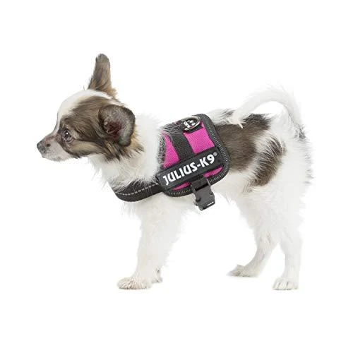 Trixie diržai Julius-K9, Baby 2/Xs-S: 33-45 cm, fuksija
