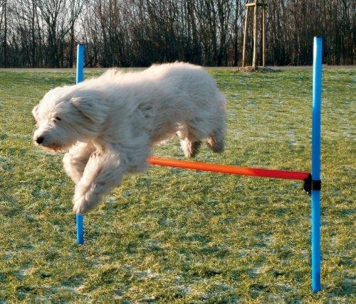 TRIXIE Agility kliūtis, 123x115 cm, plastikas, 3207