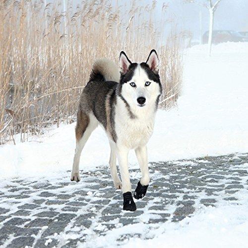 Trixie Walker Active apsauginiai batukai šuniui, L, 2vnt., juodi