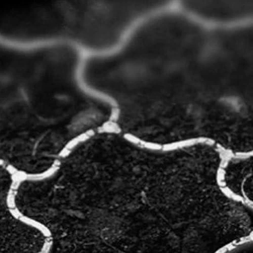 Prosperplast automobilių stovėjimo grotelių segmentai