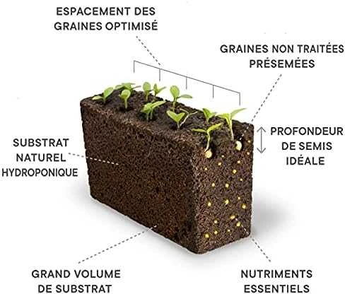 Véritable Lingot Raudona mini pipirai - EKOLOGIŠKI
