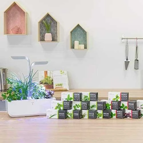 Véritable Lingot Raudona mini pipirai - EKOLOGIŠKI