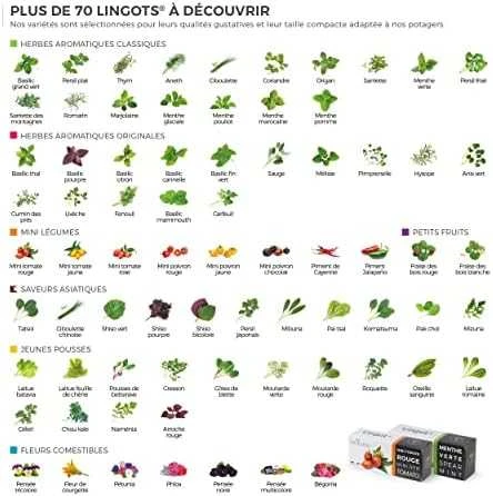 Véritable Lingot Raudona mini pipirai - EKOLOGIŠKI