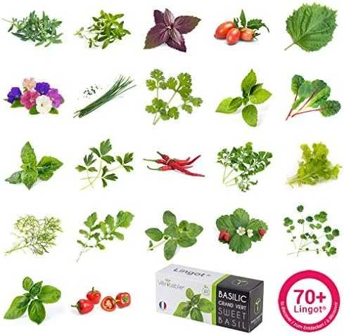 Veritable Véritable Lingot Žlutá mini paprika - BIO