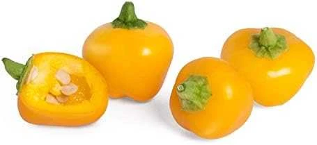 Veritable Véritable Lingot Žlutá mini paprika - BIO