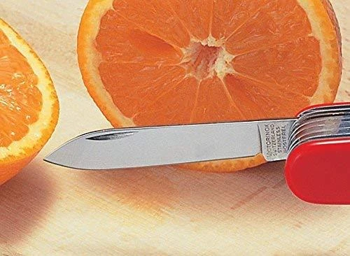 Šveicarija Victorinox Waiter peilis