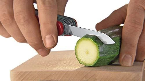 Peilis Victorinox girininkas