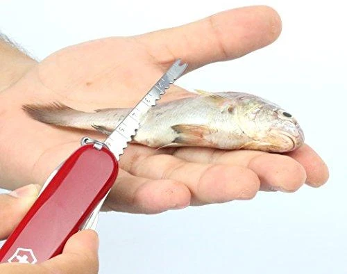 Victorinox Peilis Swiss Champ 1.6795