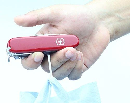 Victorinox Peilis Swiss Champ 1.6795