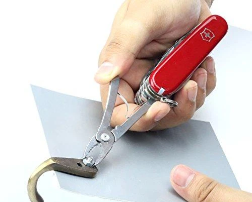 Victorinox Peilis Swiss Champ 1.6795