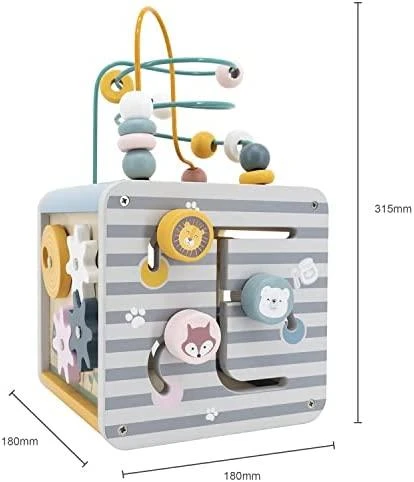 Viga Toys Lavinantis Medinis Žaislas VIGA Polar 5w1