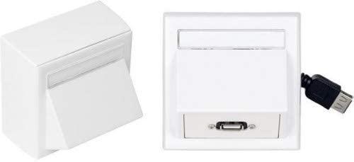 Canyon Vivolink Wall Box with USB2.0 gniazdko elektryczne USB A Baltas
