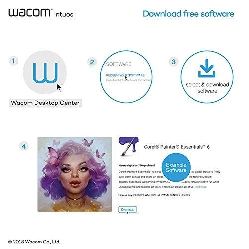 Grafinė planšetė Wacom Intuos S su pieštuku (CTL-4100K-N), Juoda