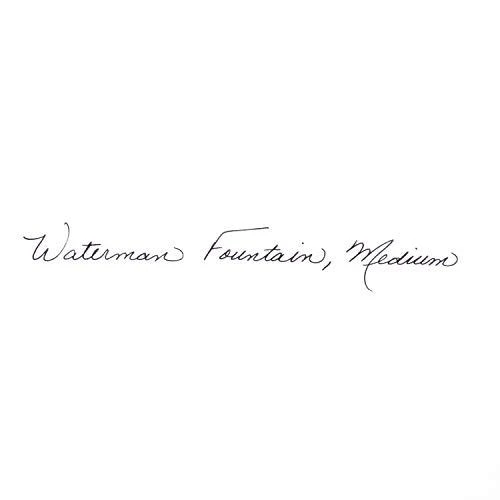 Waterman Expert Juodas M Blau plunksnakočiai