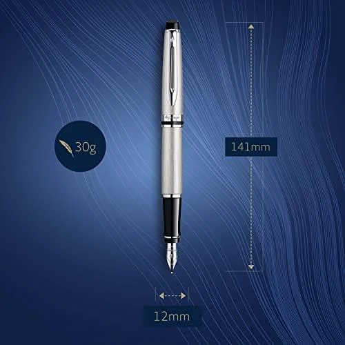 Waterman Expert Steel CT Plunksnakotis - S0952060