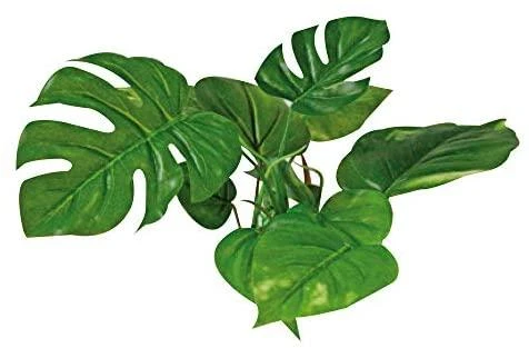 AMTRA ANUBIAS plastikinis augalas 15cm 1vnt