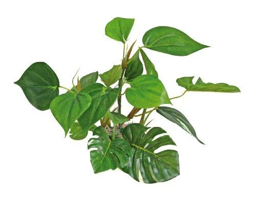 Croci AMTRA ANUBIAS plastikinis augalas 20cm