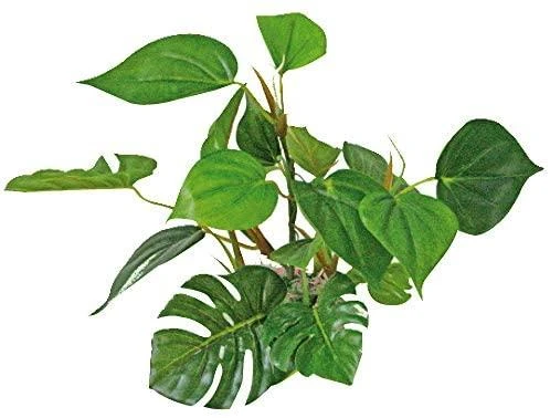 Croci AMTRA ANUBIAS plastikinis augalas 20cm