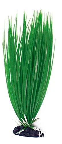 AMTRA ACORUS plastmasinis augalas mažas 10cm 1vnt