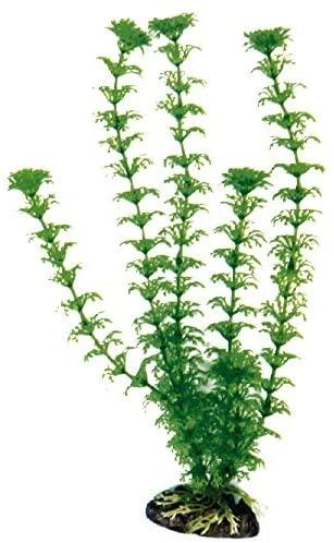 Croci Spa Cabomba plastikinis augalas 27cm