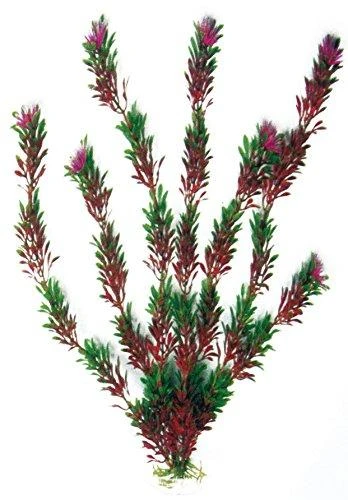 Croci AMTRA FLORA BICOLOUR plastmasinis augalas vidutinis 17cm 1vnt