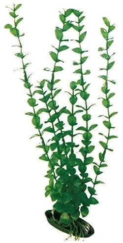 AMTRA ROTALA plastmasinis augalas vidutinis 17cm 1vnt
