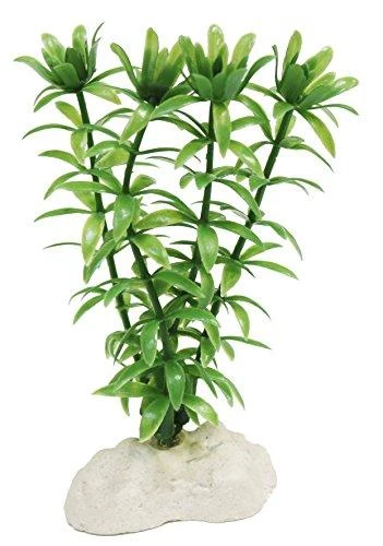 AMTRA ROTALA plastmasinis augalas vidutinis 17cm 1vnt