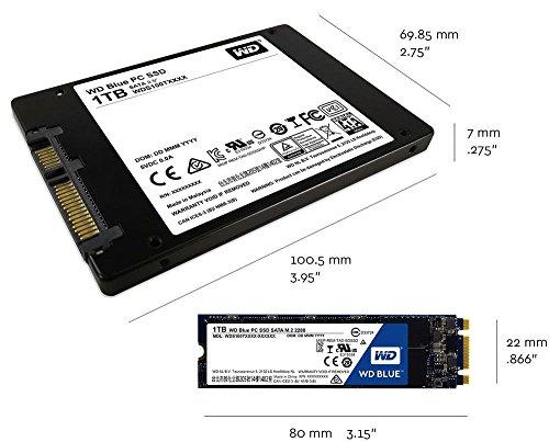 Sandisk Dysk SSD WD Mėlyna 250GB M.2 2280 SATA III (WDS250G1B0B)